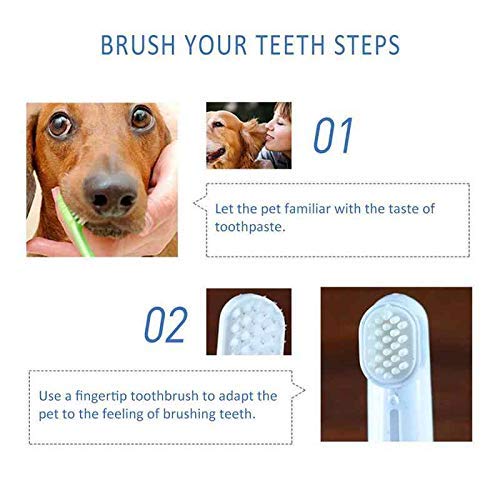  Beaphar Toothbrush and Toothpaste Kit, 100g, 2 Count